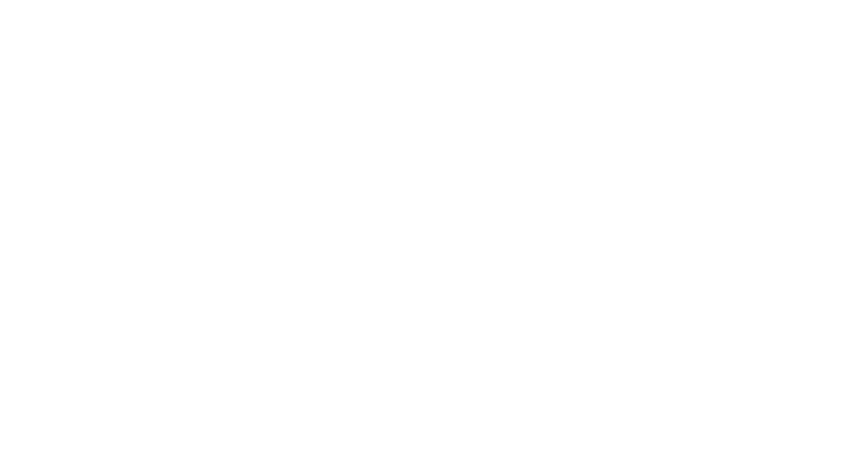 Citadela AI